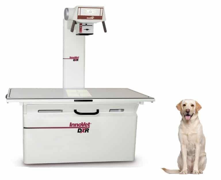 Veterinary XRay Veterinarian XRay Systems Solutions