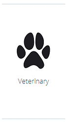 Affordable veterinarian digital x-ray