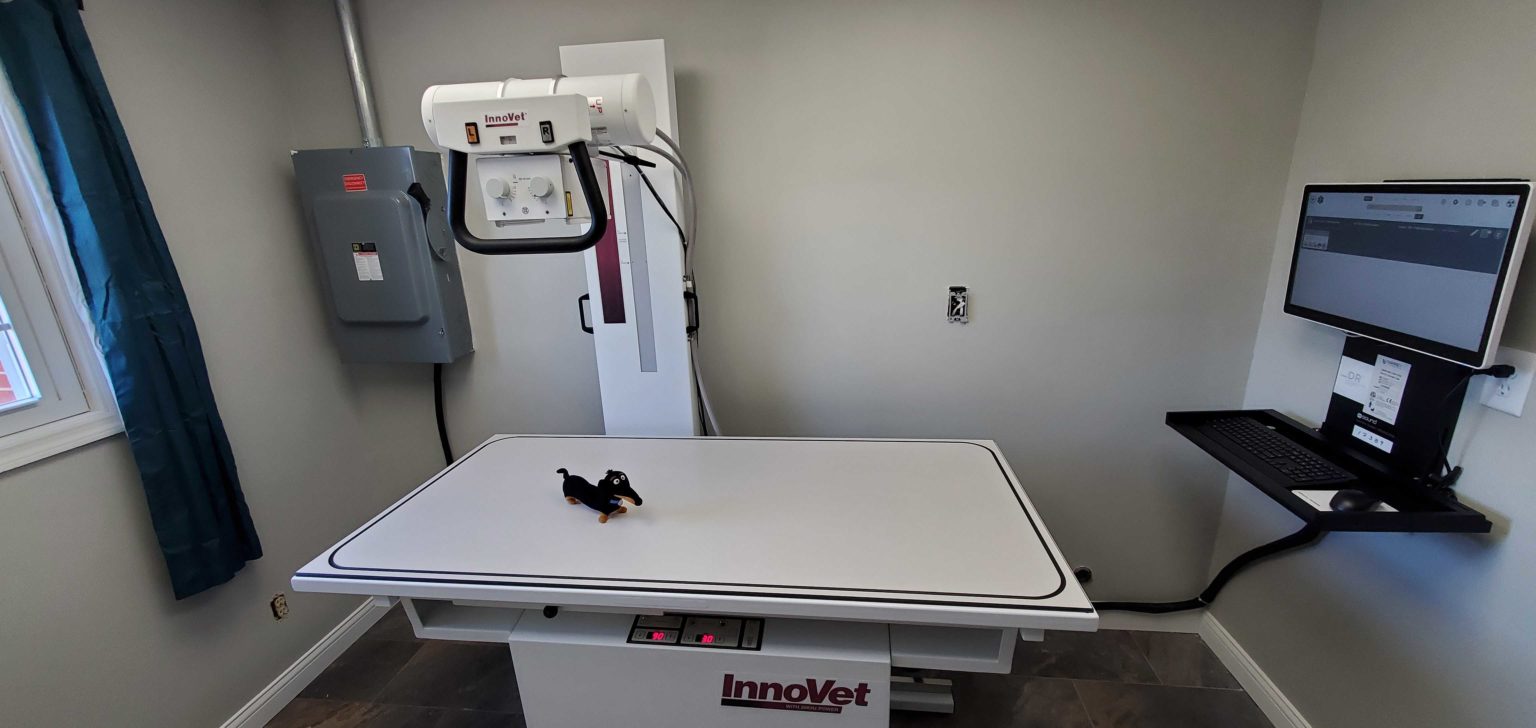 Advantages Of Using A Veterinary Digital X-Ray Machine