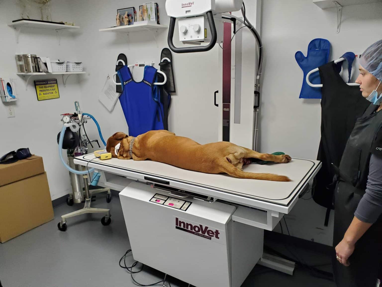 USE OF PORTABLE VETERINARY X-RAY MACHINES